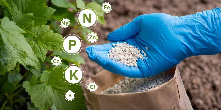 Raw Material Fertilizer